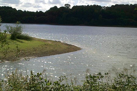 Ardingly Reservoir from the eastern shore