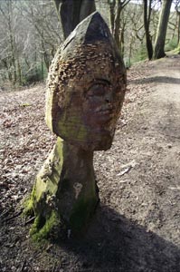 Carving in Wade Wood, Luddenden Dean