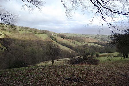 View across to Upper Heys Wood, Luddenden Dean