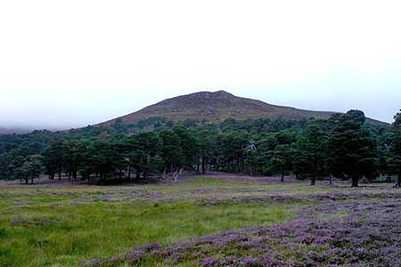 Lower slopes of Derry Cairngorm from base camp