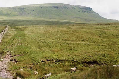 Pen-y-ghent from near Hull Pot