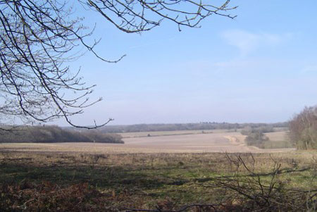 View from Rushmoor Lane