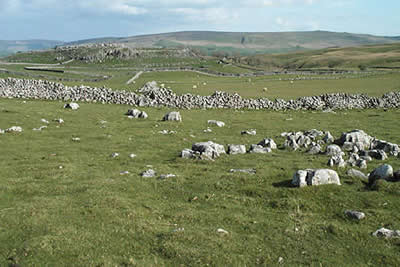 Limestone scenery near Higher Heights 