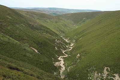 Fiensdale Water is small stream in a deep valley