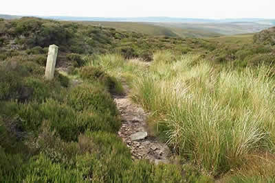 Solitary waymark marks path near Fiensdale Head