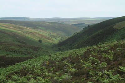 Lank Combe is typical of the Doone Valley