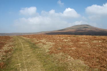 Path from south to Sugar Loaf crosses moorland