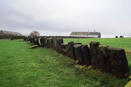 Vaccary walls near Norland Town Road