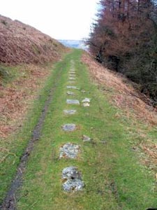 Some of the stone sleepers on Hills Tramroad