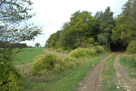 Between Fulbrook and Payne's Farm