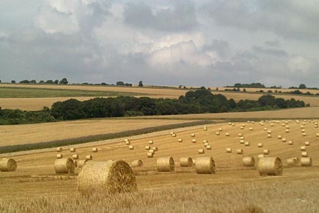 Straw bales, South Downs.