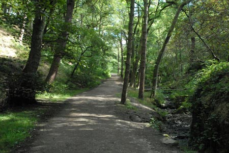 Path from West Parkgate, Lyme Park
