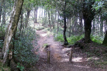Path east of Gibbet Hill