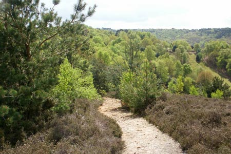 A nameless hill overlooking Hindhead Common