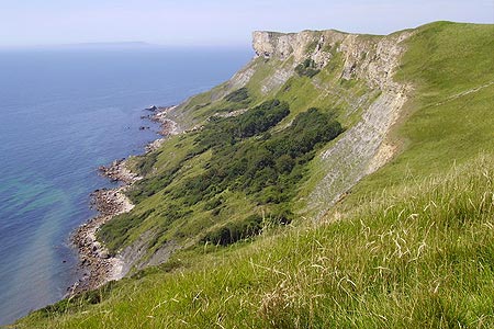 Gad Cliff from Dorset Coast Path