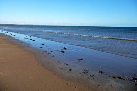 View along West Beach, St Andrews
