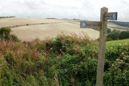 Signposts on the South Downs Way