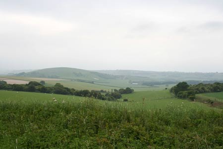 Looking south from the South Downs Way towards Harrow Hill