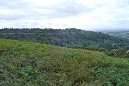 The Mortimer Trail follows the crest of Yatton Hill
