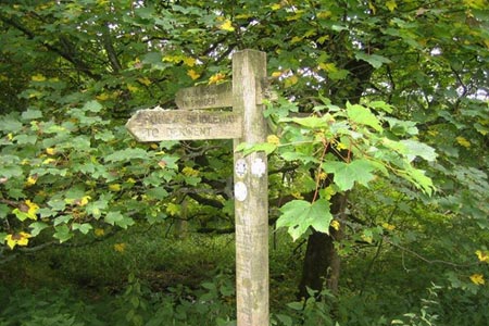 Signpost in Flouch Woods
