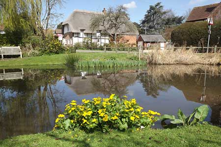 Upton Grey Village Pond