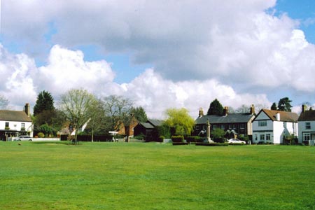 Chipperfield Common in summer
