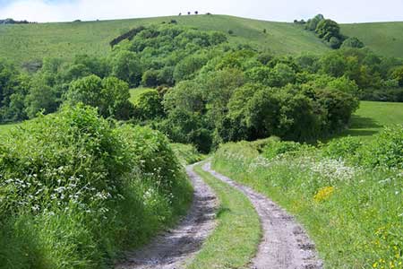 Bridleway to Didling Hill
