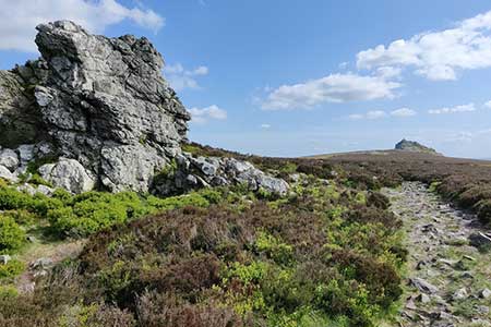 Shropshire Way at the Stiperstones National Nature Reserve