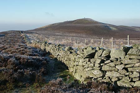 Looking north along the ridge to Moel Dywyll