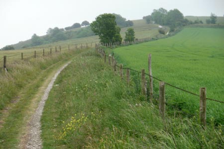 Approaching Rackham Hill on the South Downs Way