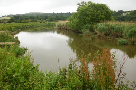 The River Arun near Amberley