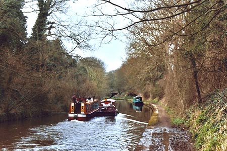 Grand Union Canal in Tring Cutting