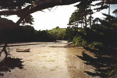 Gillan Creek near Helford 