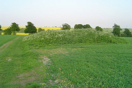 An ancient tumulus or ancient burial mound