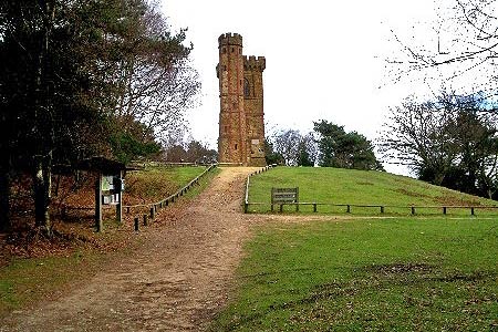 Summit approach with Leith Hill Tower in view