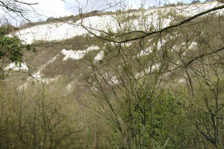 The chalk cliff below Blue Bell Hill