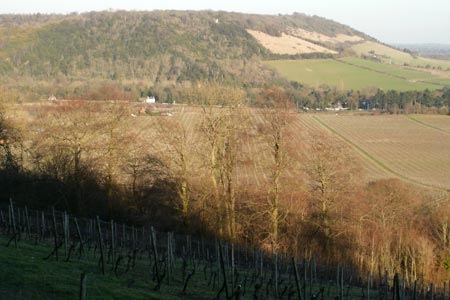 Box Hill from the North Downs Way
