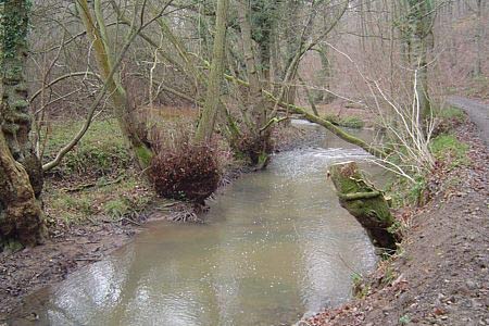 Dowles Brook, Wyre Forest