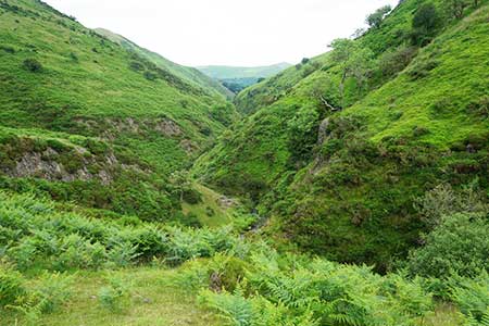 Ashes Hollow, the Long Mynd