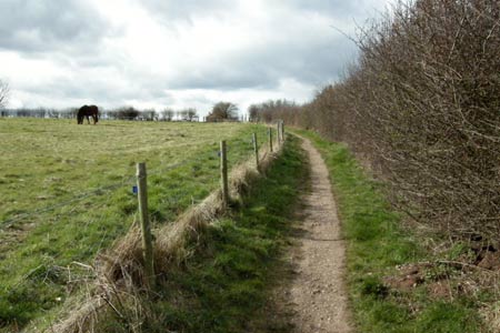 Photo from the walk - Brocton & Walton-on-the-Hill Circular