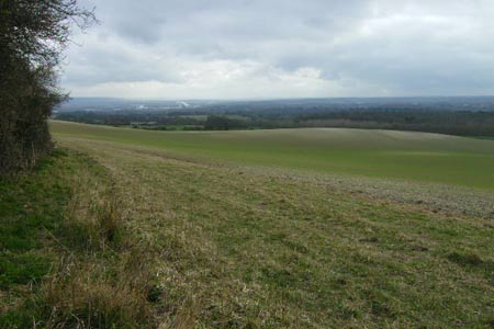 View from the Pilgrim's Way near Whitehorse Wood