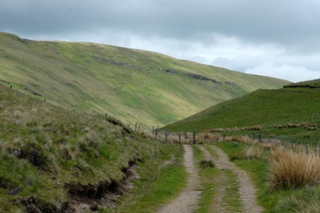 The track used for the descent from Ben Cleuch