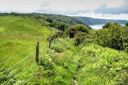 South West Coast Path above Buck's Mills