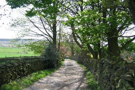 Green Lane near Stoneridge Farm, Disley
