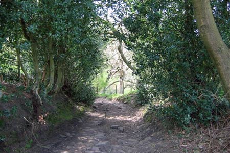 The green lane leading to Bollinhurst Bridge near Lyme Park