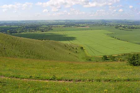 Photo from the walk - Milk Hill the highest point in Wiltshire
