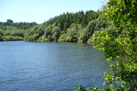 Ripon Rowel Walk - Eavestone Lake