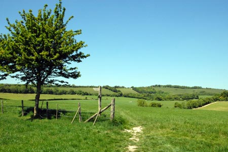 The path from Exford to Beacon Hill
