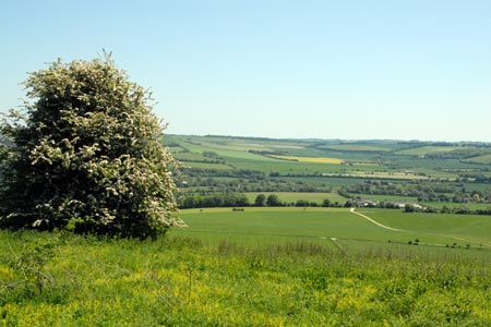 The Meon Valley from Beacon Hill