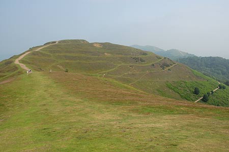 Herefordshire Beacon from Millennium Hill